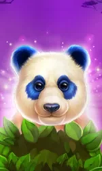 Luck of Panda: Bonus Combo