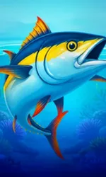 Big Boat Big Catch