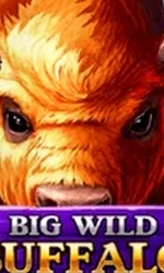 Big Wild Buffalo