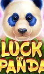 Luck of Panda: Bonus Combo
